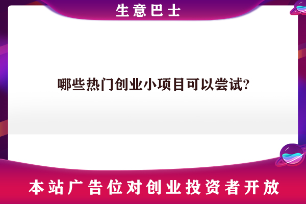 創(chuàng)業(yè)小項目